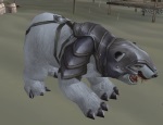 armor bear.jpg