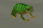 frog.jpg